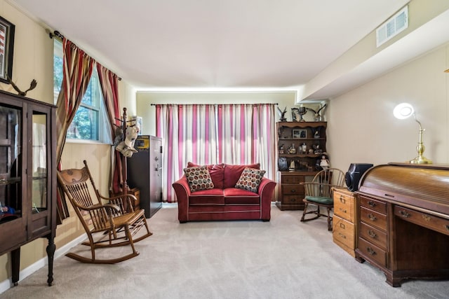 101 Townview Dr, Smyrna, TN 37167 - sitting room with carpet
