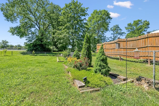 101 Townview Dr, Smyrna, TN 37167 - view of yard