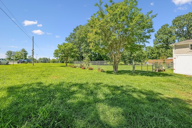 101 Townview Dr, Smyrna, TN 37167 - view of yard