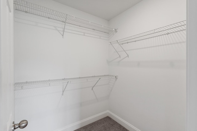 369 Carriage House Ln Unit L509, Hendersonville, TN 37075 - walk in closet with carpet