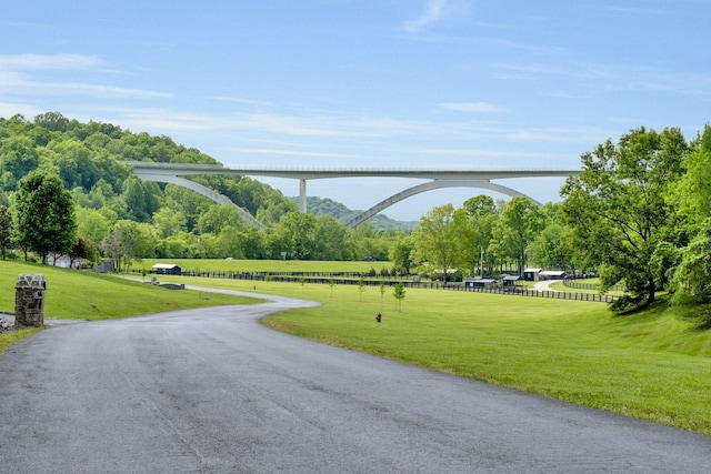 1120 Natchez Valley Ln, Franklin, TN 37064 - view of home's community featuring a lawn