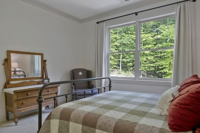 1120 Natchez Valley Ln, Franklin, TN 37064 - bedroom featuring ornamental molding and carpet flooring