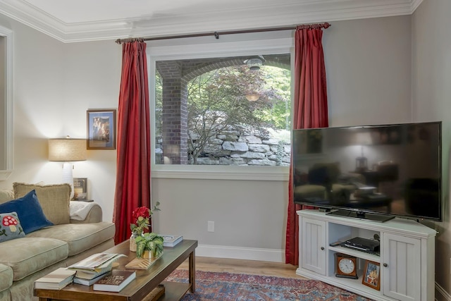 1120 Natchez Valley Ln, Franklin, TN 37064 - living area featuring ornamental molding, wood finished floors, and baseboards