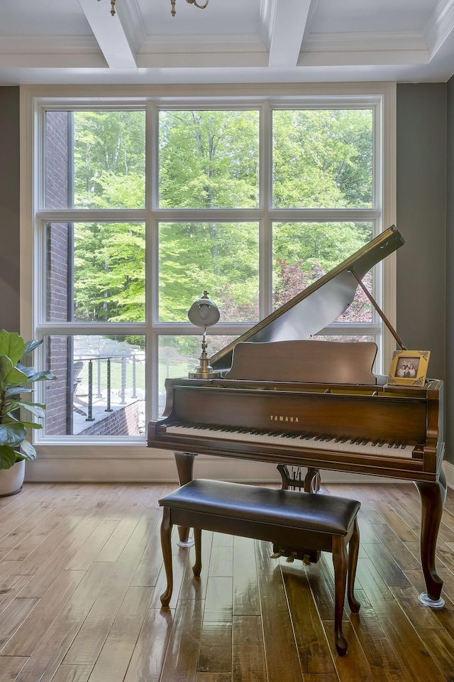 1120 Natchez Valley Ln, Franklin, TN 37064 - sitting room featuring wood-type flooring, plenty of natural light, and crown molding