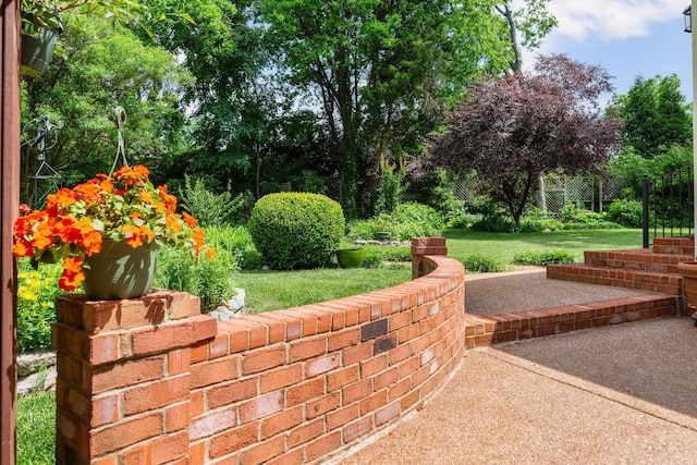 906 Knight Cir, Murfreesboro, TN 37129 - view of patio / terrace