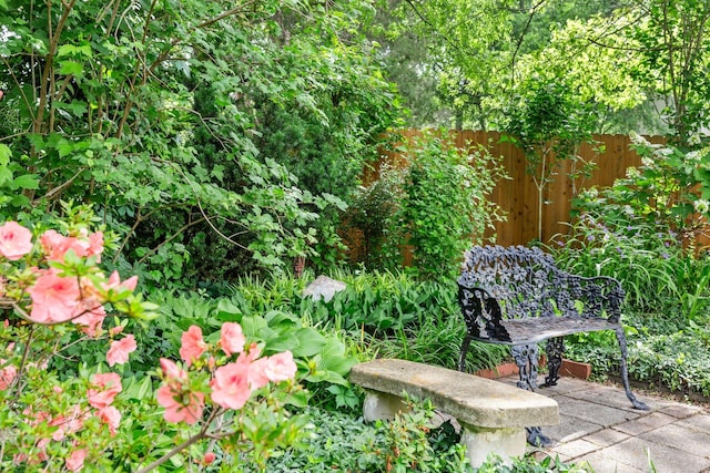 906 Knight Cir, Murfreesboro, TN 37129 - view of yard
