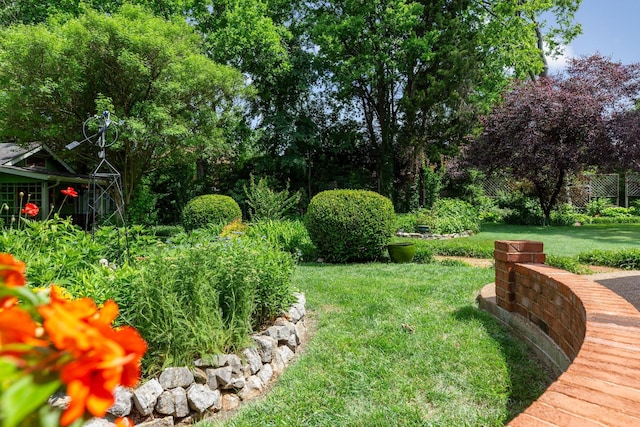 906 Knight Cir, Murfreesboro, TN 37129 - view of grassy yard