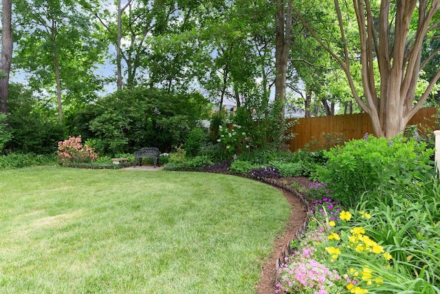 906 Knight Cir, Murfreesboro, TN 37129 - view of yard
