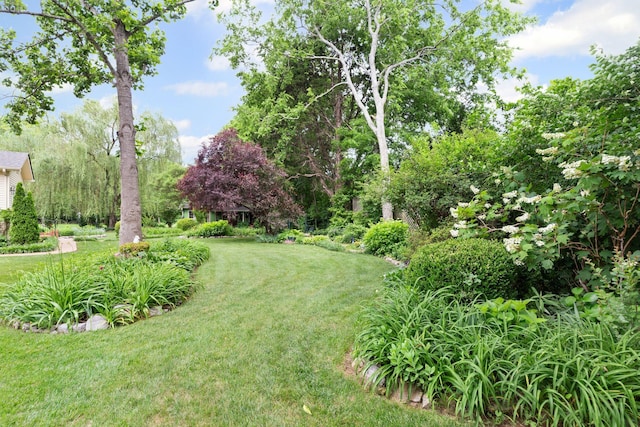 906 Knight Cir, Murfreesboro, TN 37129 - view of green lawn with view of scattered trees