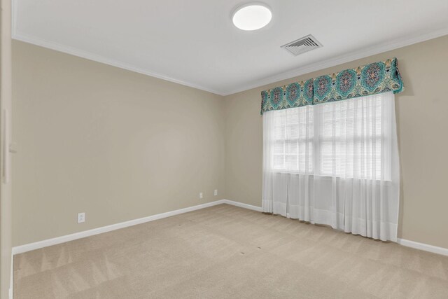 906 Knight Cir, Murfreesboro, TN 37129 - carpeted empty room with crown molding and baseboards