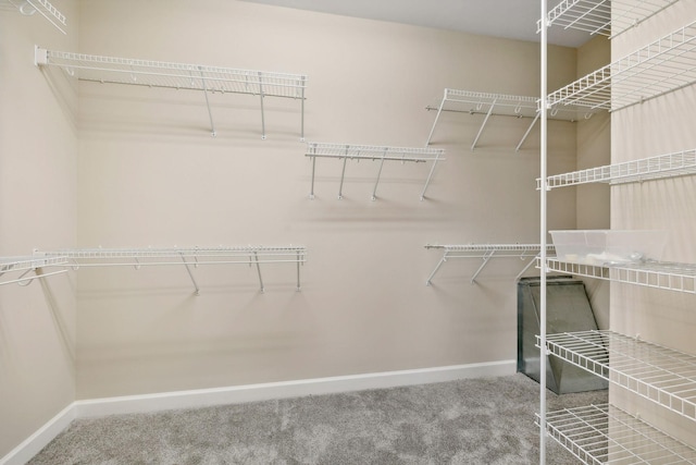 1120 Banbury Ln, Brentwood, TN 37027 - spacious closet featuring carpet floors