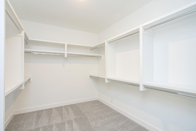 118 W Cassa Way, Mount Juliet, TN 37122 - spacious closet featuring carpet floors