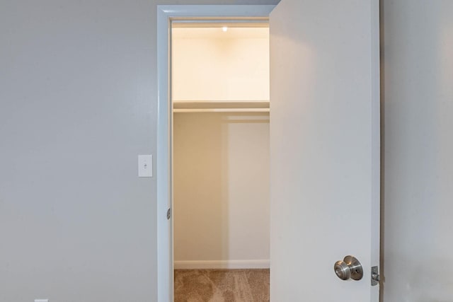 104 Evanmeade Dr, Smyrna, TN 37167 - view of closet