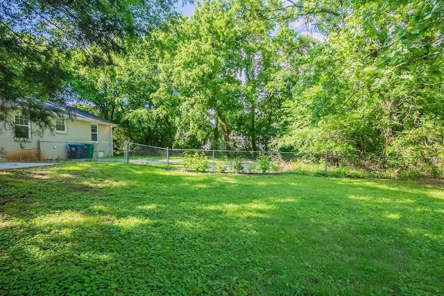 104 Evanmeade Dr, Smyrna, TN 37167 - view of yard
