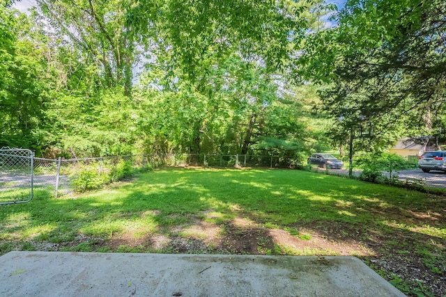 104 Evanmeade Dr, Smyrna, TN 37167 - view of yard