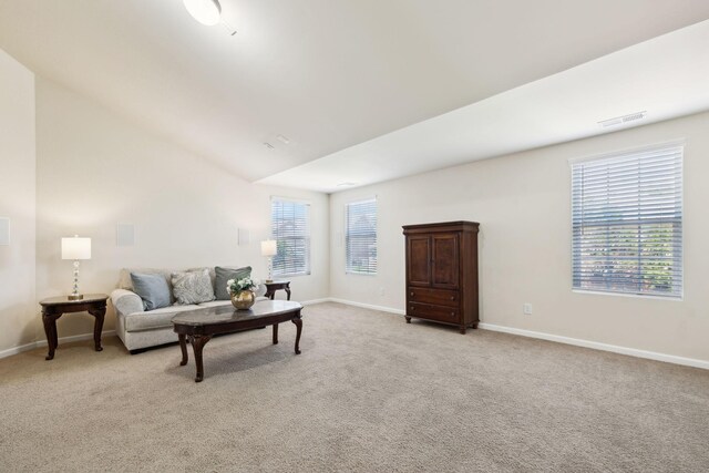 3009 Canal St, Nolensville, TN 37135 - photo 65