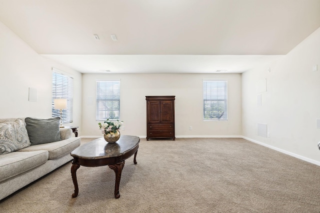 3009 Canal St, Nolensville, TN 37135 - photo 64