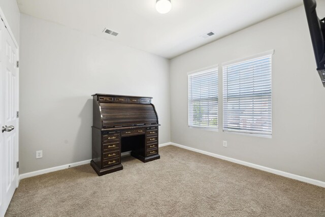 3009 Canal St, Nolensville, TN 37135 - photo 55