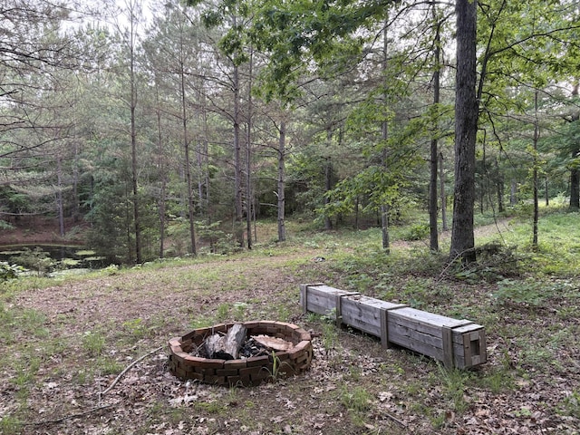 6046 Pumping Station Rd, Iron City, TN 38463 - photo 11