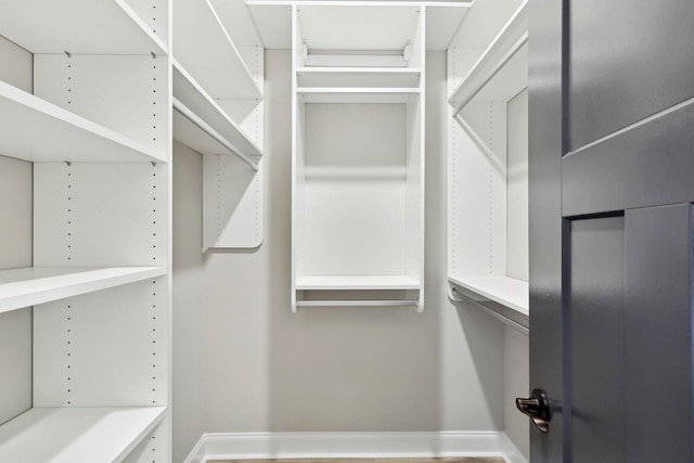 1373 Southside Rd, Southside, TN 37171 - view of spacious closet