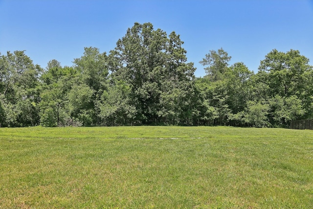 1373 Southside Rd, Southside, TN 37171 - view of grassy yard with a forest view