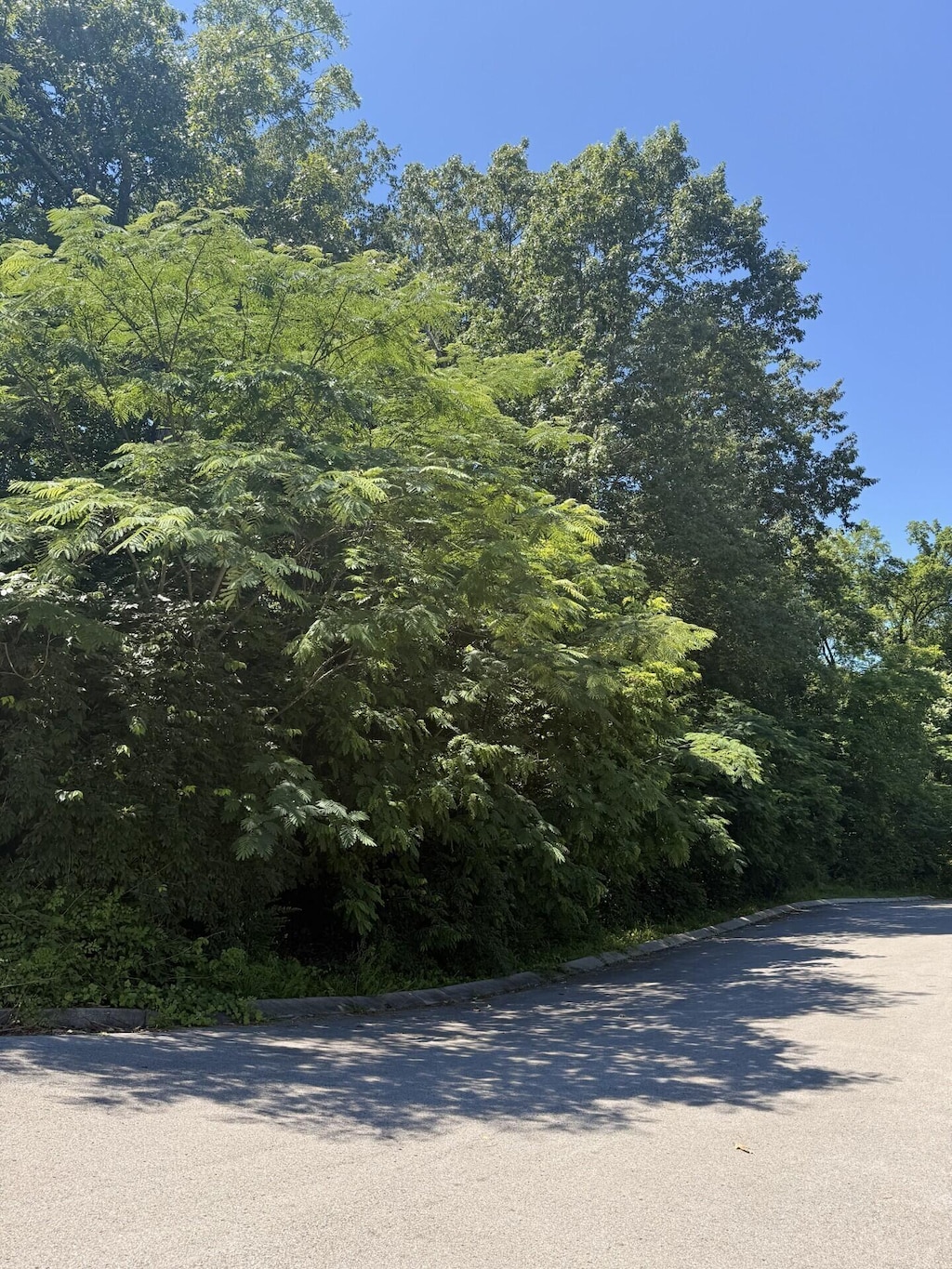 1037 Garnett Ave, Chattanooga, TN 37405