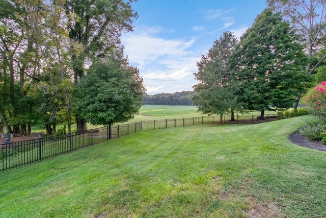 569 Pond Apple Rd, Clarksville, TN 37043 - photo 74