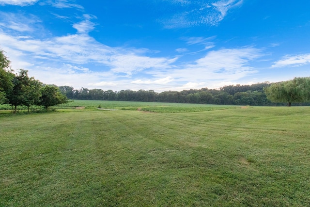 569 Pond Apple Rd, Clarksville, TN 37043 - photo 75