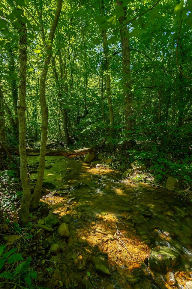 117 Westbrook Ave, Soddy Daisy, TN 37379 - view of undeveloped land