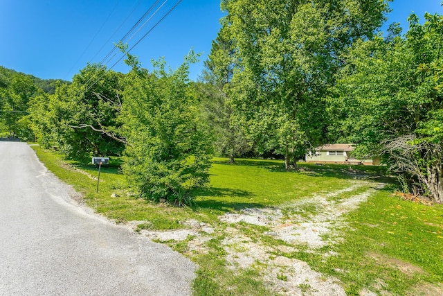 117 Westbrook Ave, Soddy Daisy, TN 37379 - view of asphalt driveway