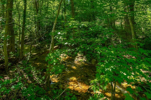 117 Westbrook Ave, Soddy Daisy, TN 37379 - view of nature