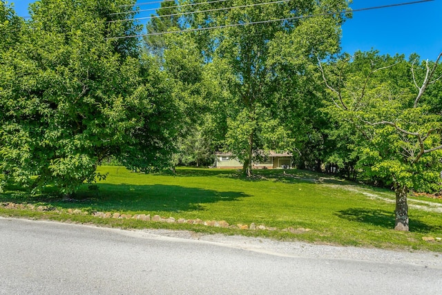 117 Westbrook Ave, Soddy Daisy, TN 37379 - view of grassy yard