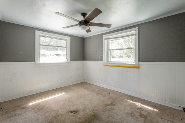 117 Westbrook Ave, Soddy Daisy, TN 37379 - unfurnished room featuring wainscoting, healthy amount of natural light, ceiling fan, and carpet floors