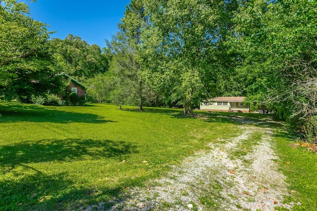 117 Westbrook Ave, Soddy Daisy, TN 37379 - view of grassy yard with driveway
