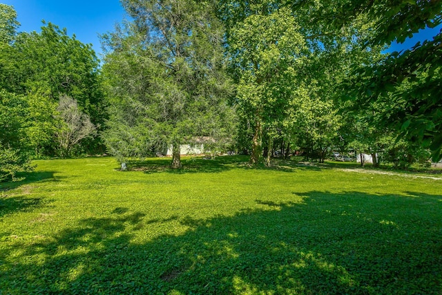 117 Westbrook Ave, Soddy Daisy, TN 37379 - view of green lawn