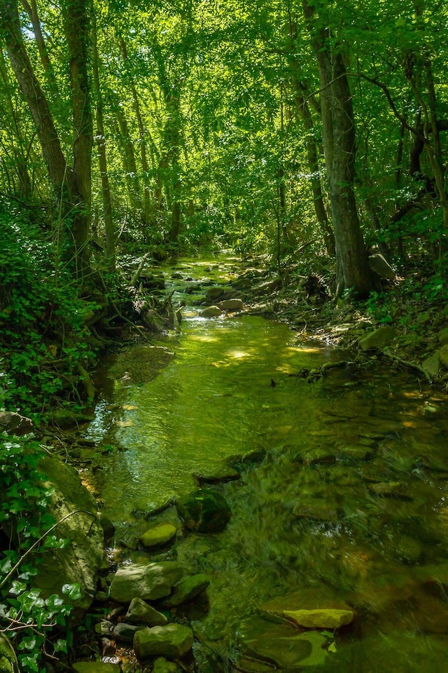 117 Westbrook Ave, Soddy Daisy, TN 37379 - view of undeveloped land