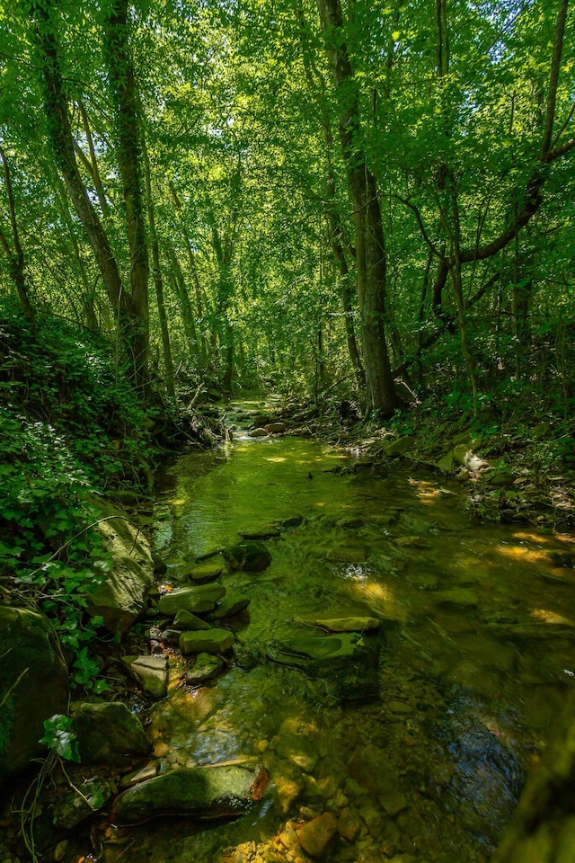 117 Westbrook Ave, Soddy Daisy, TN 37379 - view of local wilderness