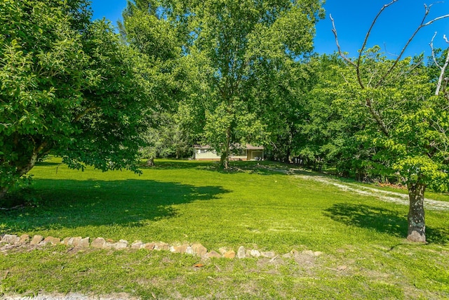 117 Westbrook Ave, Soddy Daisy, TN 37379 - view of grassy yard