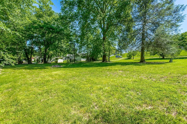 117 Westbrook Ave, Soddy Daisy, TN 37379 - view of grassy yard
