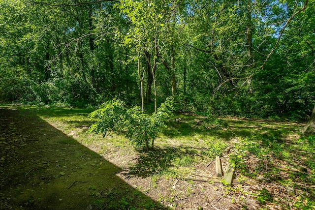 117 Westbrook Ave, Soddy Daisy, TN 37379 - view of wooded area