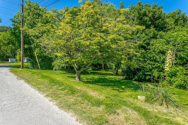 117 Westbrook Ave, Soddy Daisy, TN 37379 - view of street