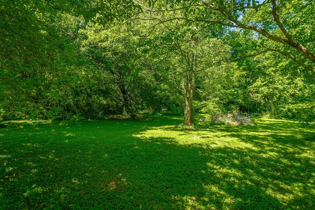 117 Westbrook Ave, Soddy Daisy, TN 37379 - view of grassy yard featuring a view of trees