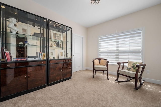 2365 Stonecenter Ln, Murfreesboro, TN 37128 - photo 26