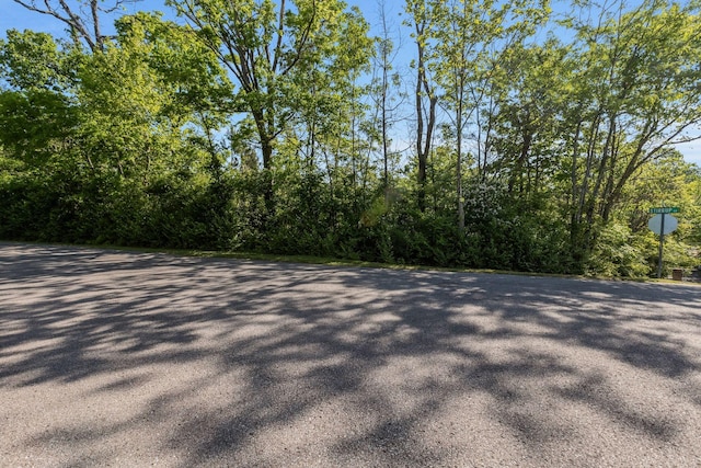 700 Stirrup Ct, Nashville, TN 37221 - photo 62