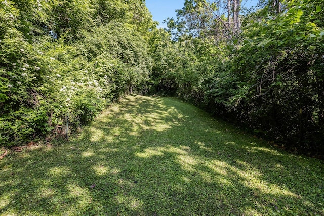 700 Stirrup Ct, Nashville, TN 37221 - photo 51