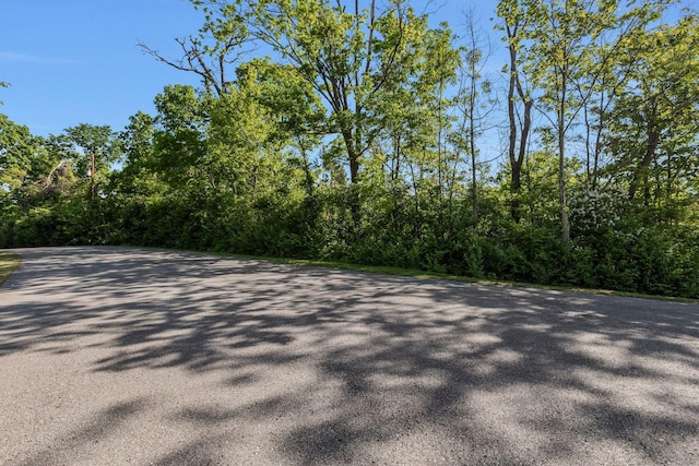 700 Stirrup Ct, Nashville, TN 37221 - photo 63