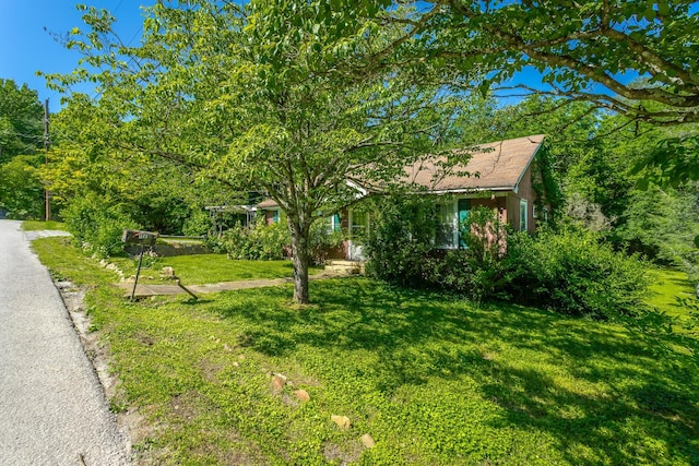 119 Westbrook Ave, Soddy Daisy, TN 37379 - view of grassy yard