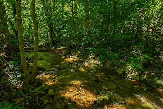 119 Westbrook Ave, Soddy Daisy, TN 37379 - view of local wilderness