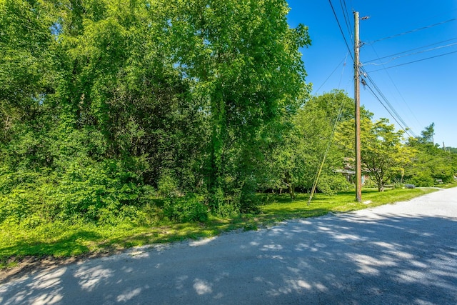 119 Westbrook Ave, Soddy Daisy, TN 37379 - view of asphalt street