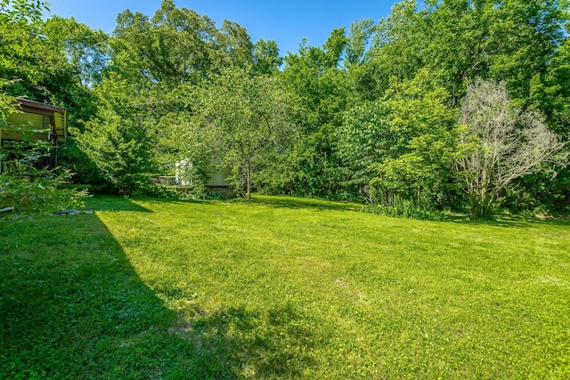 119 Westbrook Ave, Soddy Daisy, TN 37379 - view of green lawn